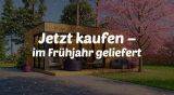Jetzt kaufen – im Frühjahr geliefert