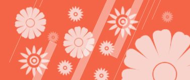 avp.common.category_banner_img