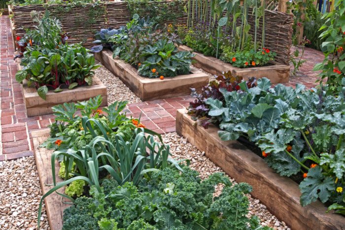 Ein Garten für Faule Tipps und Tricks Pineca.de