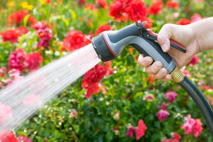 Richtig gießen im Garten Tipps und Tricks für den Umgang mit dem