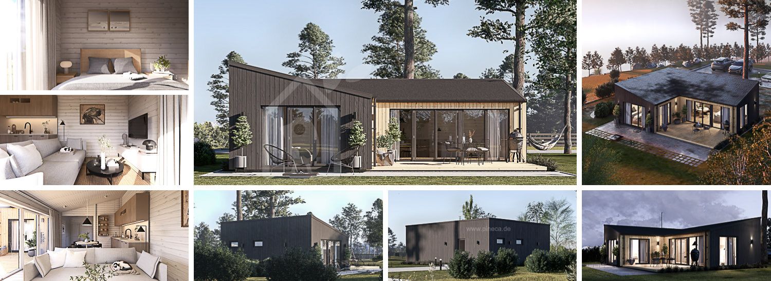 Blockbohlenhaus GINNY (Isoliert, 34 mm + Holzverschalung), 49 m² visualization 1