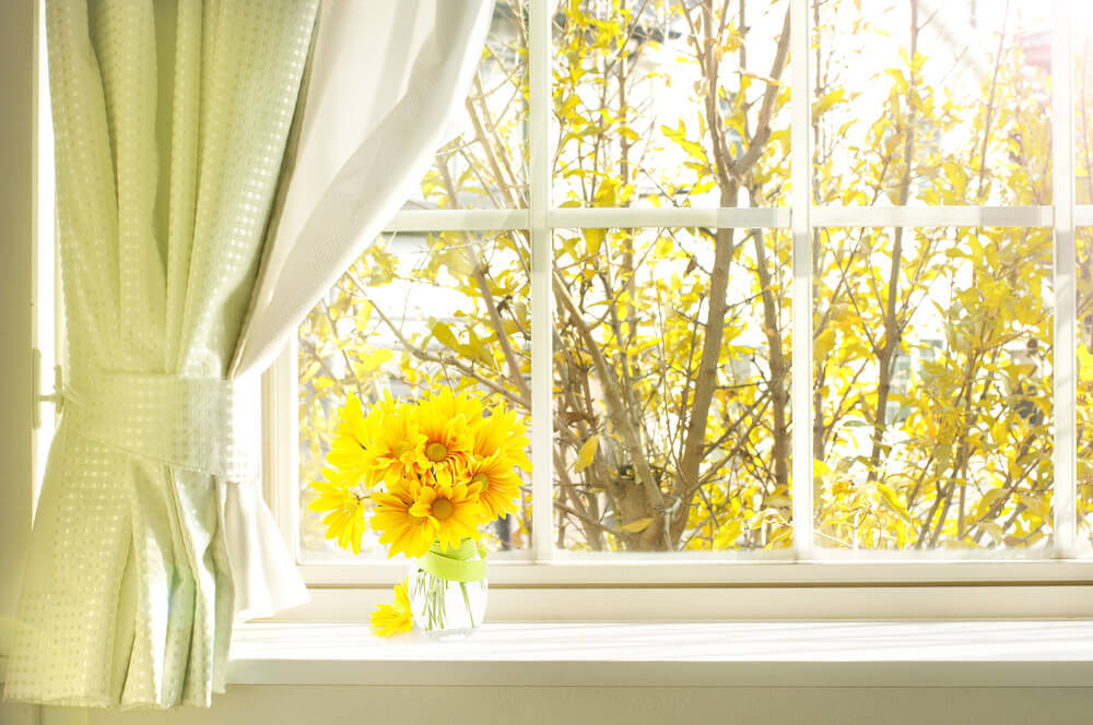 Blumen-auf-der-Fensterbank-gartenhaus