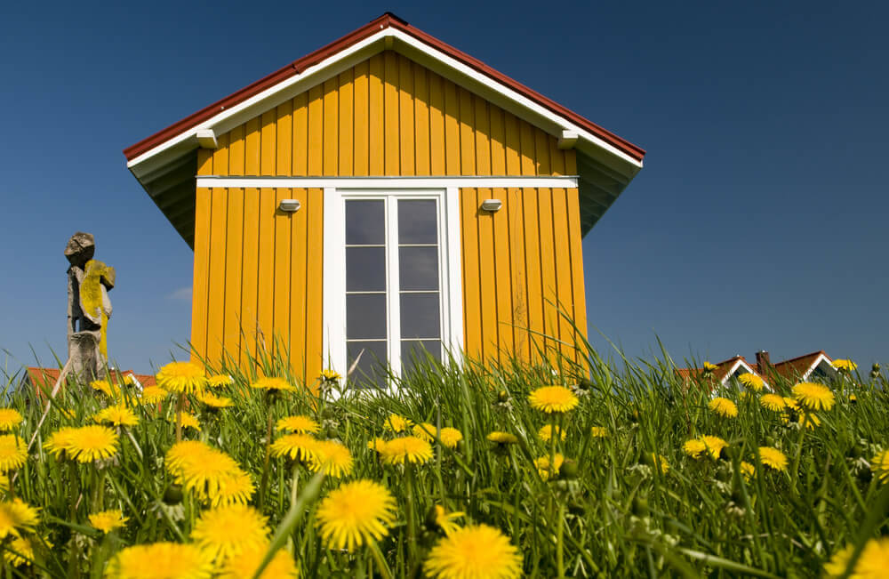 Wenn-das-Holz-Gartenhaus-nur-leicht-verwittert,-braucht-man-keine-neue-Grundschicht-auftragen08023