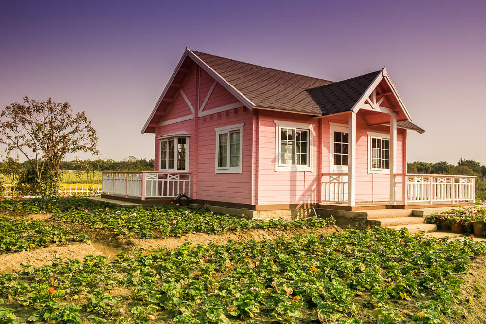 um-dem-Gartenhaus-einmal-einen-schmucken