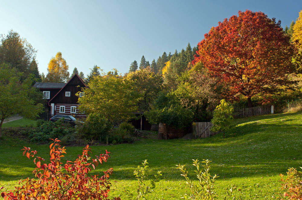 Blockbohlenhaus-im-Herbst