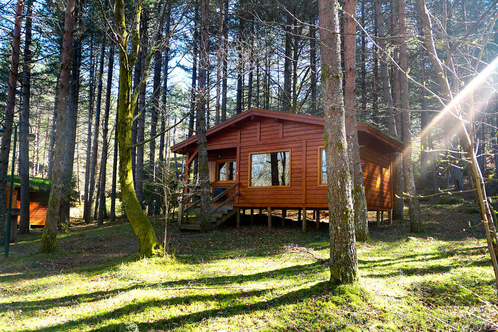 Gartenhaus-auch-finden-wird