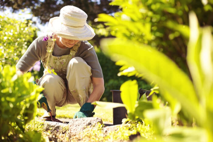 Gärtnern wird sogar therapeutisch