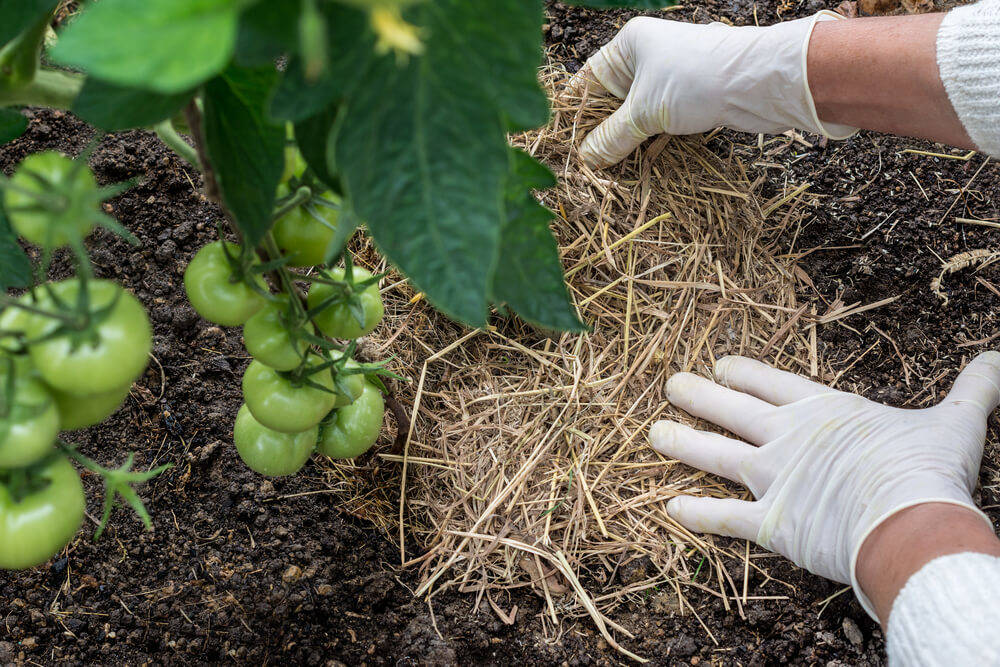 Mulch-gartenhaus-aus-holz