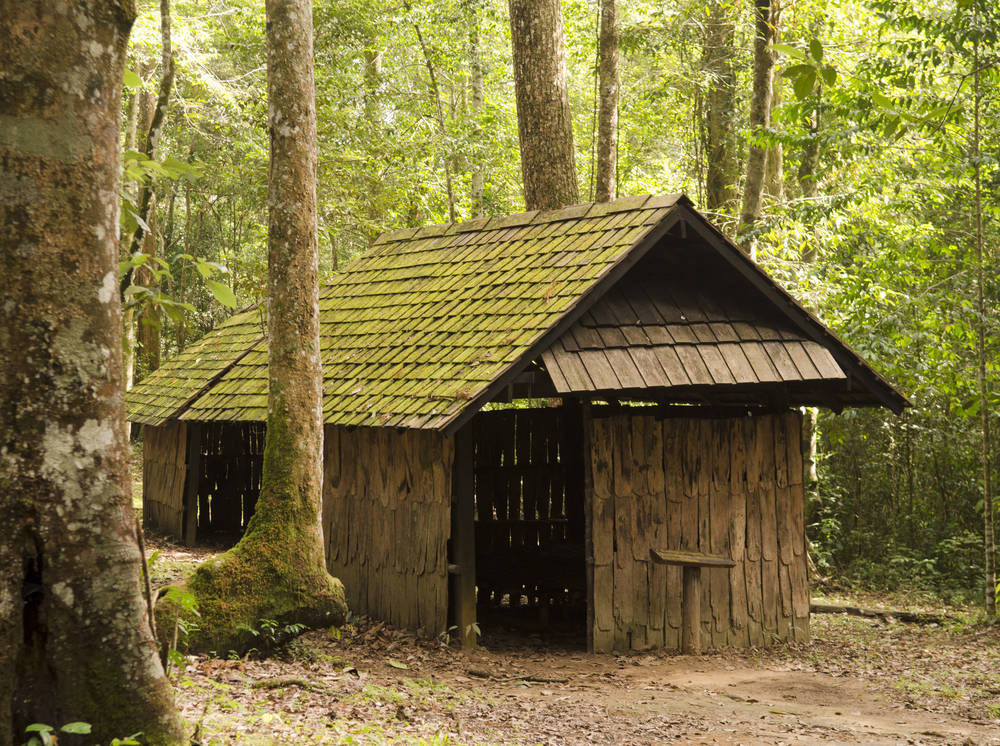 Altes-Blockbohlenhaus