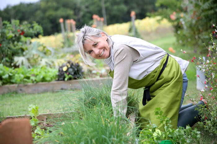 wildkrauter-sommeraktivitäten-am-garten