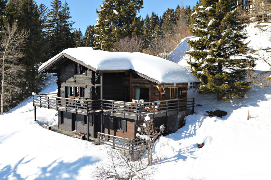 Dunkeles-Blockbohlenhaus-in-den-Bergen